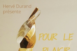 GrÃ©gory Dupont expose du 20 octobre au 30 novembre 2016 - Galerie Hervé Durand
