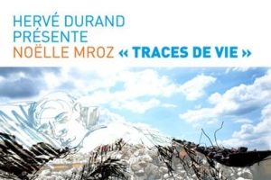 Noëlle Mroz expose du 12 mars au 9 avril 2013 - Galerie Hervé Durand