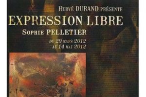 Sophie Pelletier expose du 29 mars au 14 mai 2012 - Galerie Hervé Durand