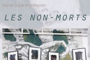Nicolas Hamm et Alain Neveux exposent du 19 janvier au 8 mars 2017 - Galerie Hervé Durand